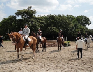 Equitation en Ille et Vilaine